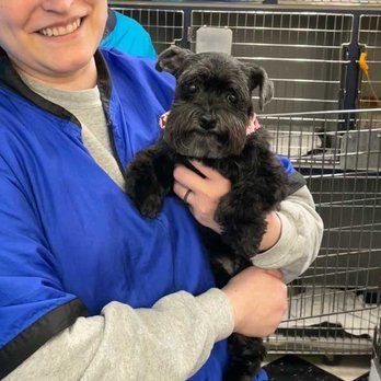 A Woman Is Holding A Small Black Dog In Her Arms — Richmond, VA — Ridge Dog Shop
