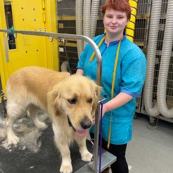 A Woman Is Standing Next To A Dog On A Grooming Table — Richmond, VA — Ridge Dog Shop