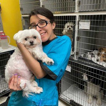A Woman Is Holding A Small White Dog In Her Arms In A Kennel — Richmond, VA — Ridge Dog Shop