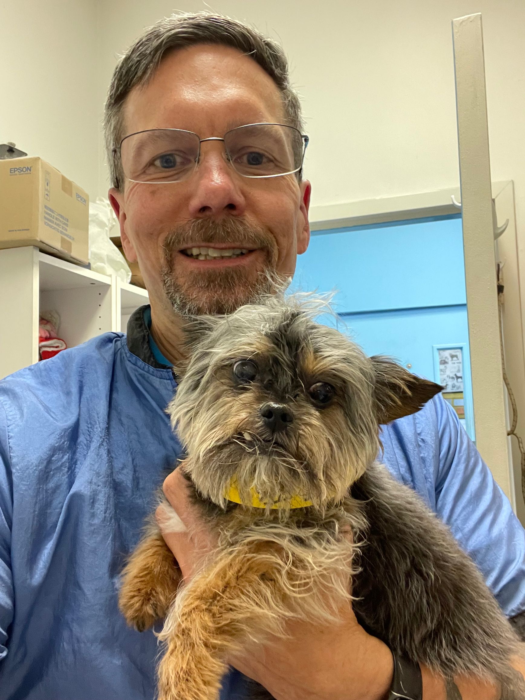 Man in blue shirt holds a small terrier dog in a vet clinic.