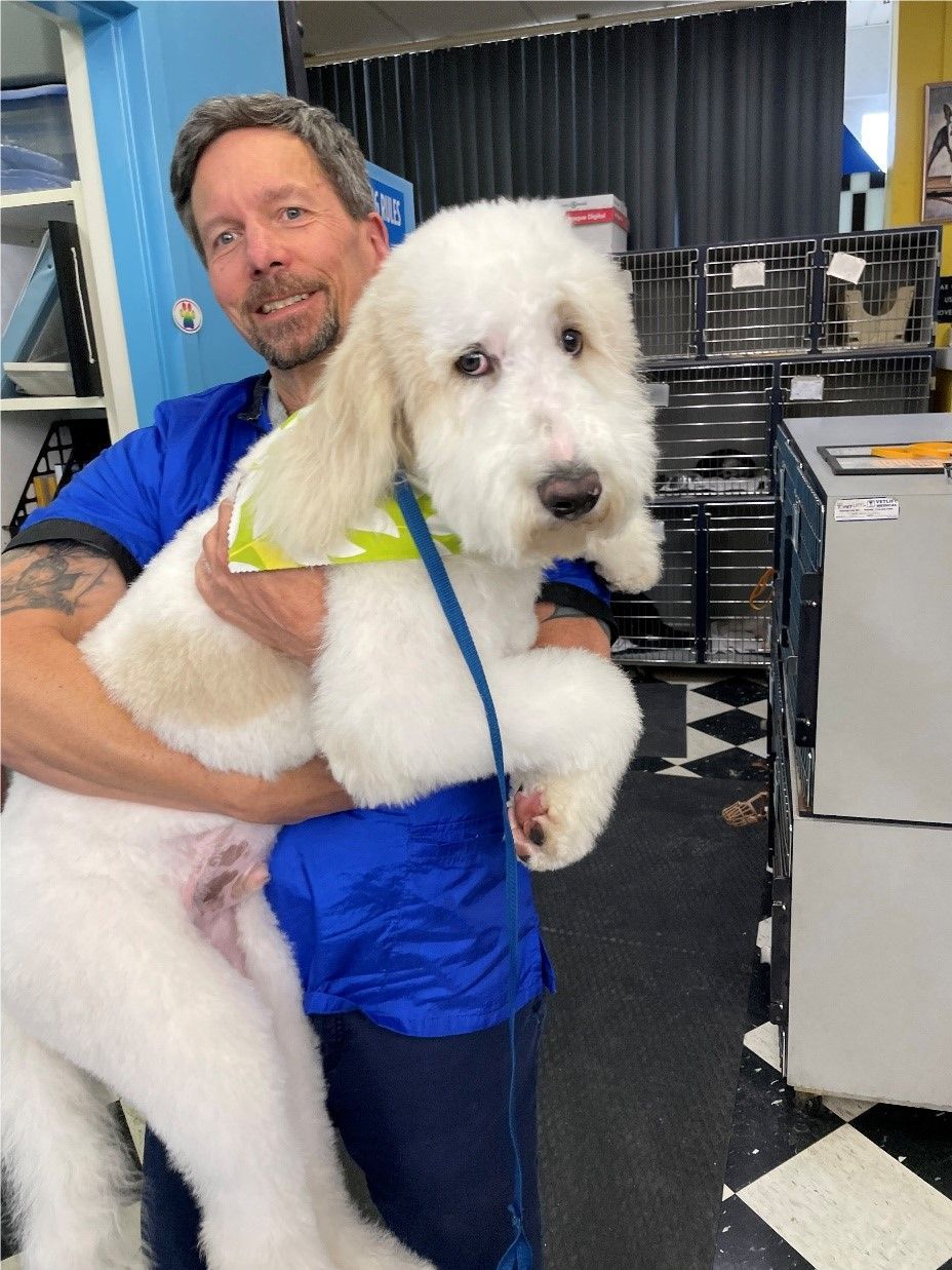 Man holding a white and tan fluffy dog after grooming, smiling. Indoor setting with equipment.