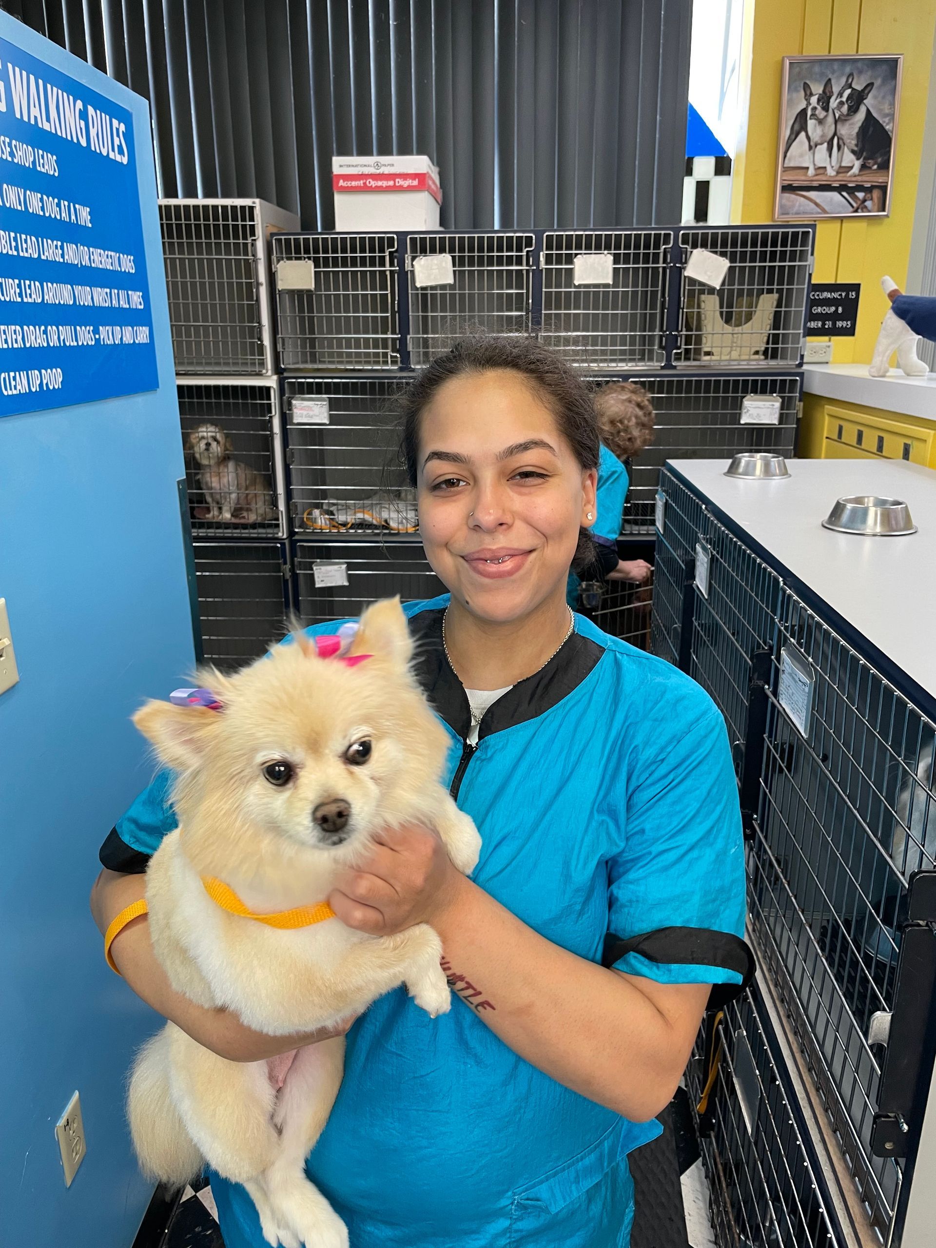 A woman is holding a small dog in her arms.