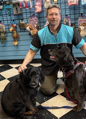 A Man Is Kneeling Down Next To Two Dogs On A Checkered Floor — Richmond, VA — Ridge Dog Shop