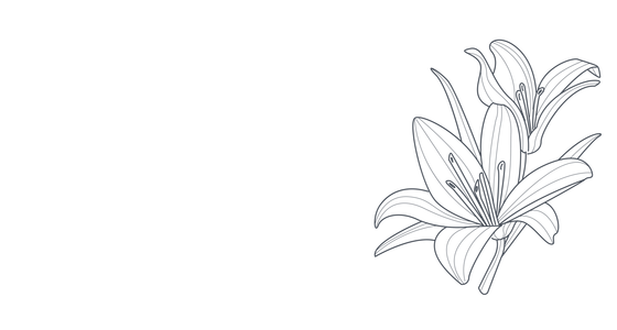Black-and-white sketch of a lily flower with petals and leaves