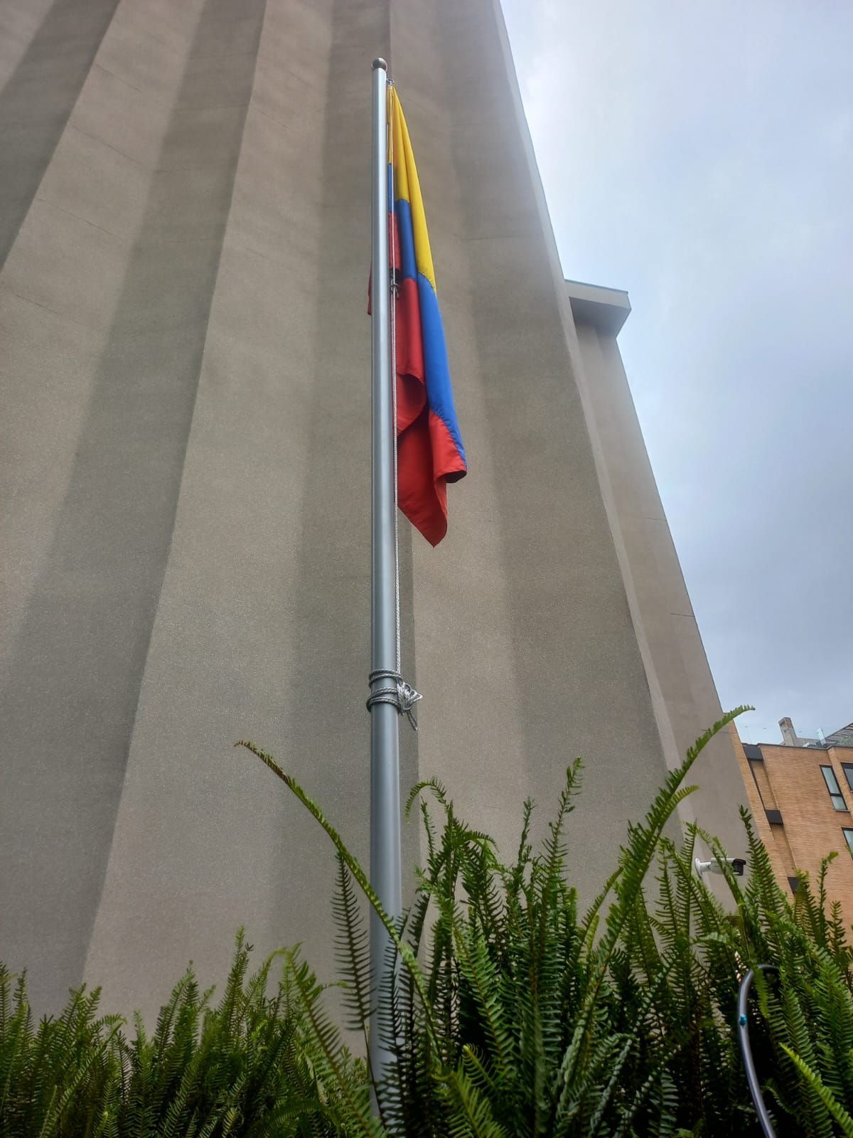 Colombian flag on a pole beside a concrete building, with green plants in the foreground.