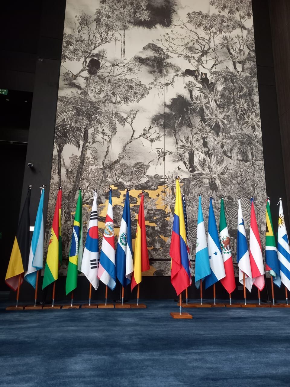 Rows of international flags on a blue carpet before a large black-and-white mural backdrop