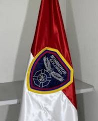 Red and white flag with a triangular blue-and-gold emblem on a stand.