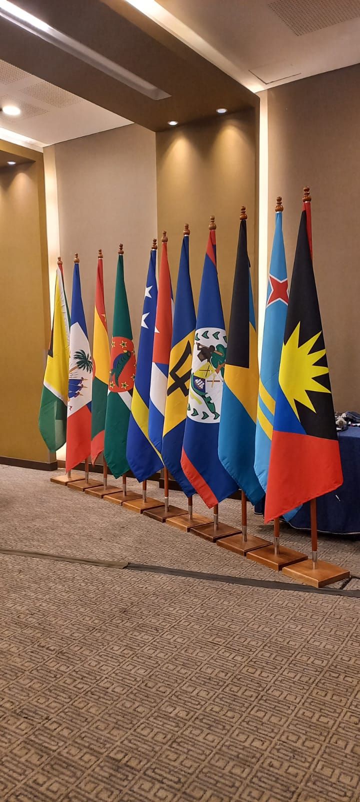 Row of colorful national flags on stands in a conference room hallway