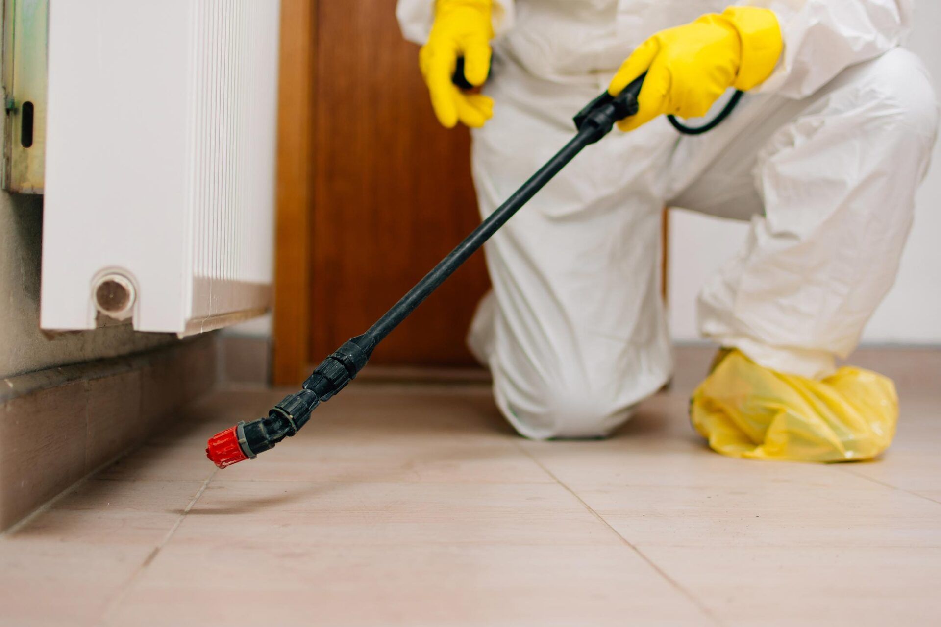 Exterminator In Work Wearing Spraying Pesticide — Hammonton, NJ — Team Termite & Pest Control