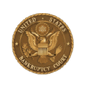 Bankruptcy Court
