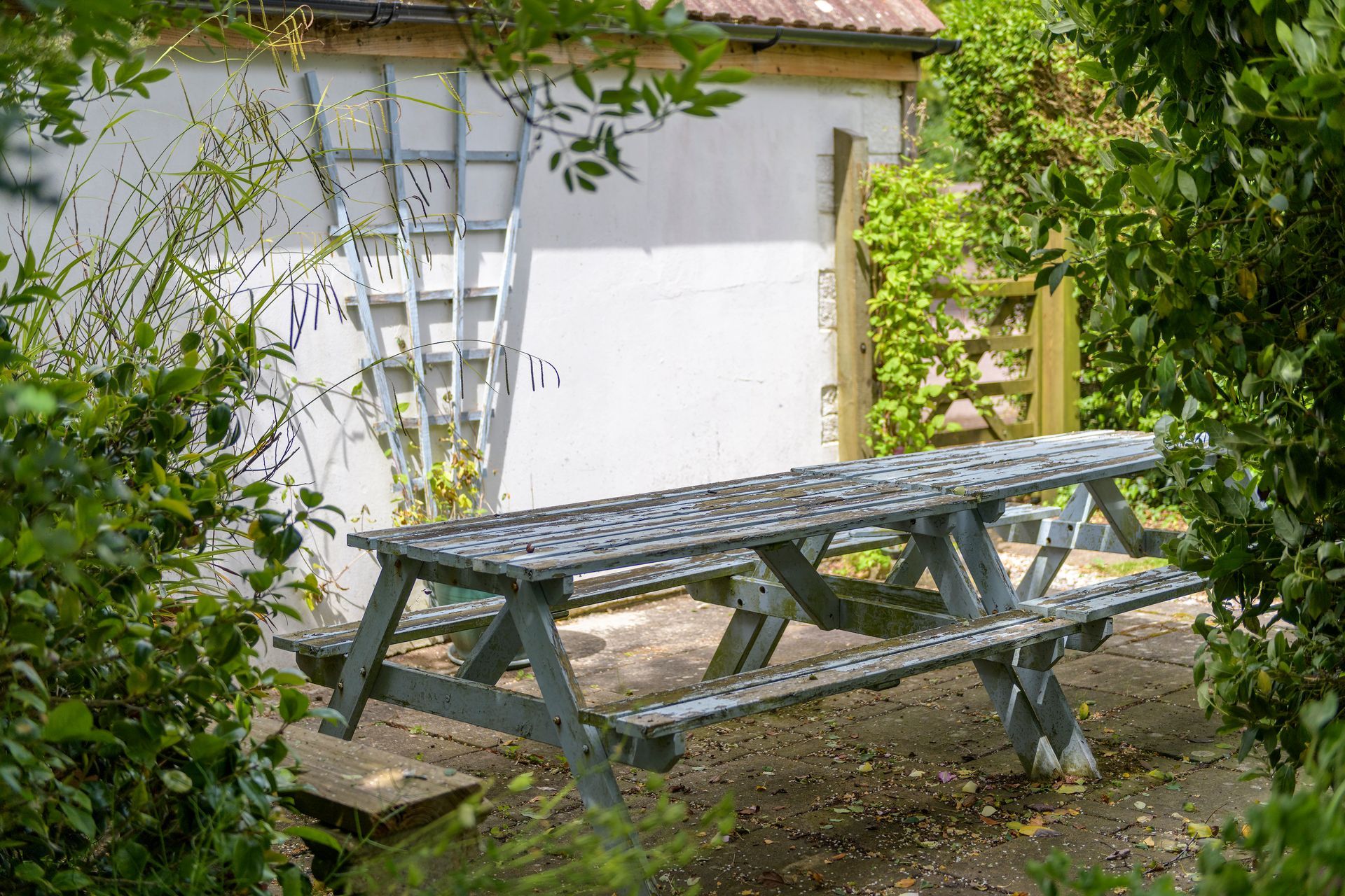 Outside picnic space 