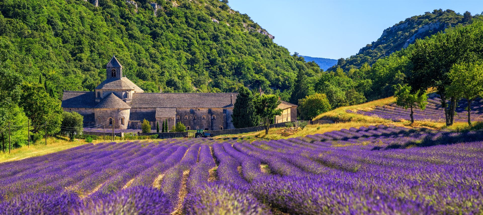 Champ de lavande en fleurs, ferme en pierre et collines verdoyantes sous un ciel d'un bleu limpide