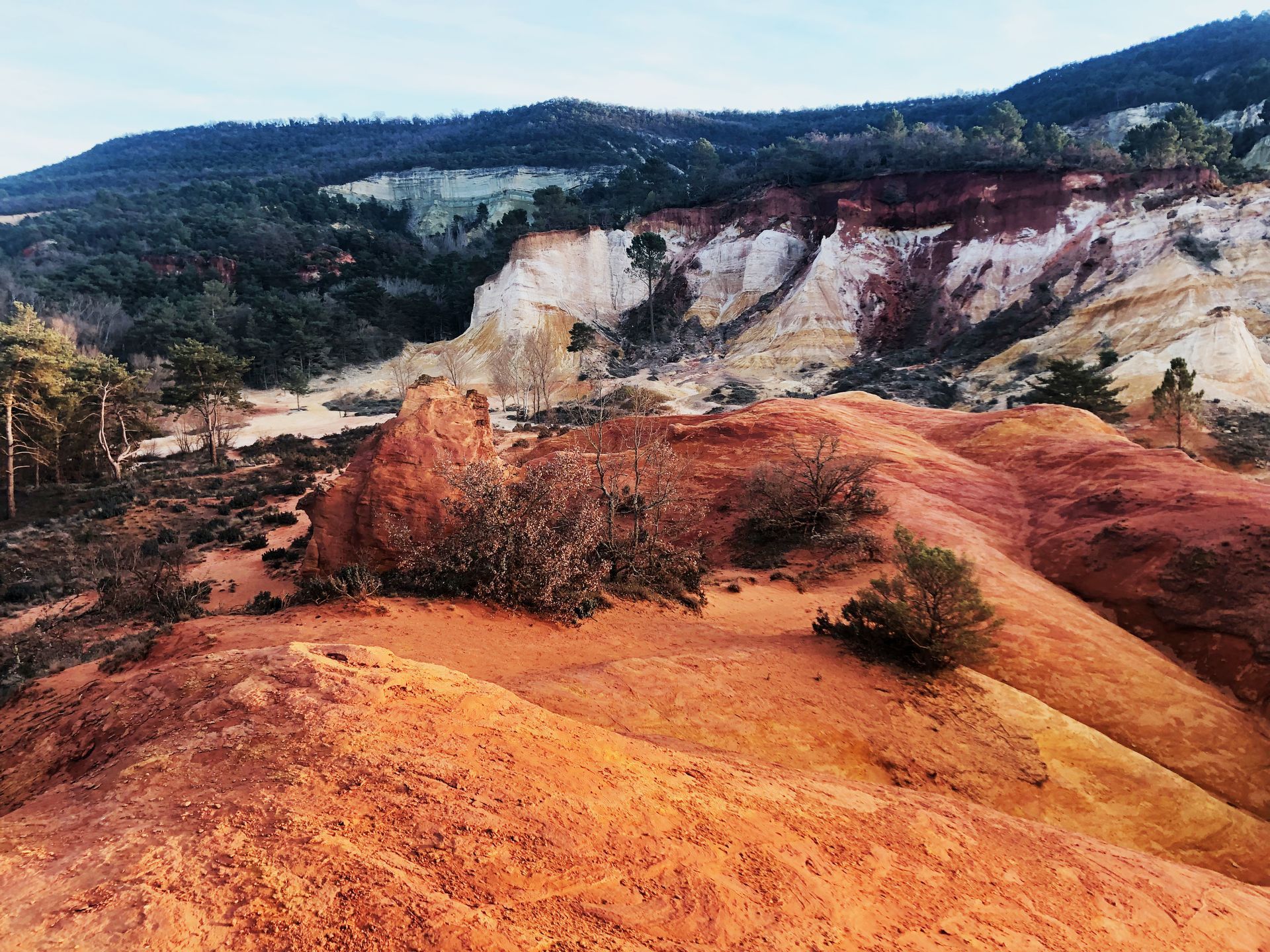 Collines d'argile rouge-orangé et arbres épars dans un canyon escarpé avec des montagnes boisées en arrière-plan