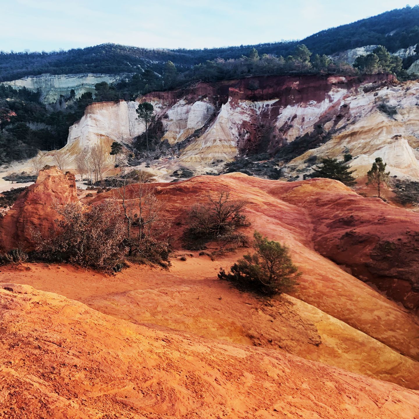 Falaises de canyon rouges et orangées avec des arbustes épars et des collines boisées sous un ciel nuageux