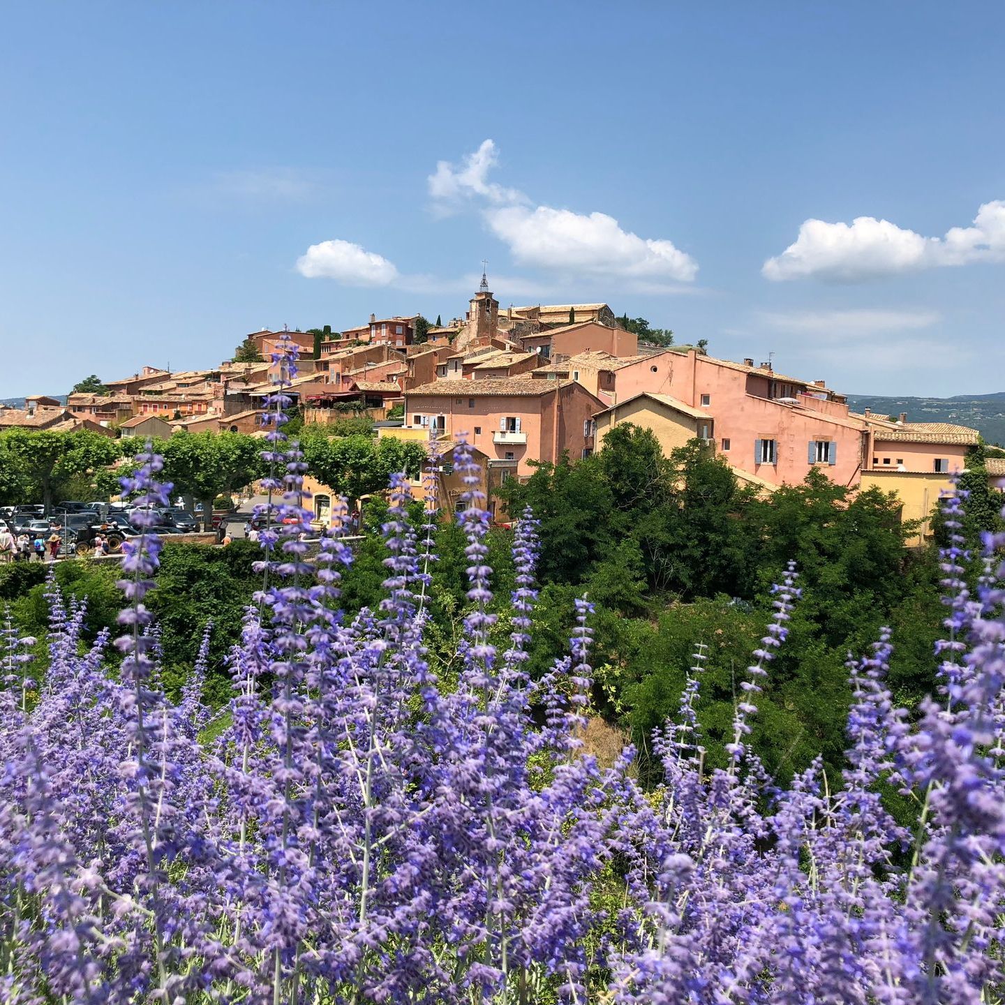 Roussillon avec fleurs violettes et bel horizon du Luberon
