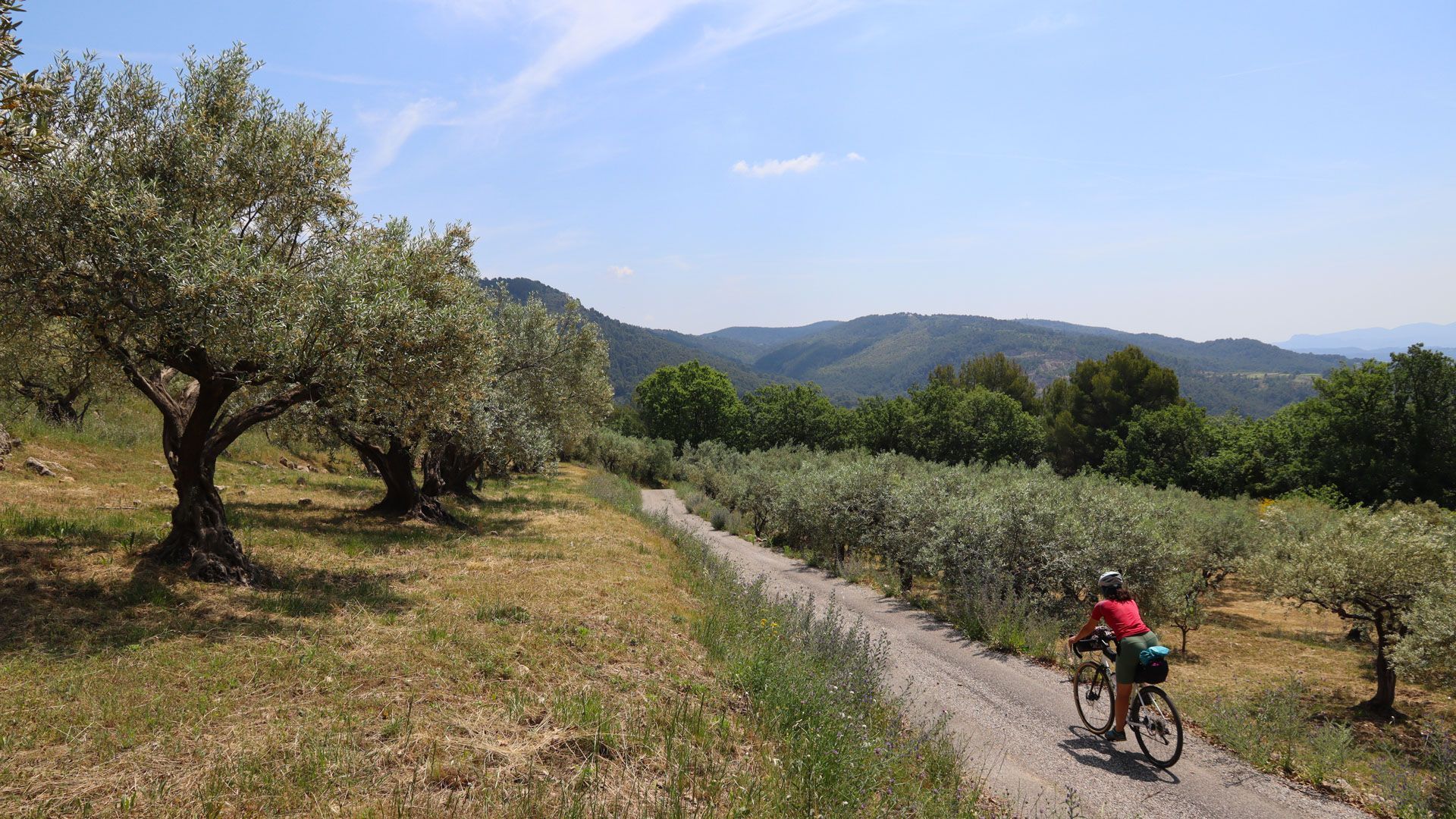 Un cycliste roule sur un chemin de campagne étroit, bordé d'oliviers et de champs, avec des collines à l'horizon.