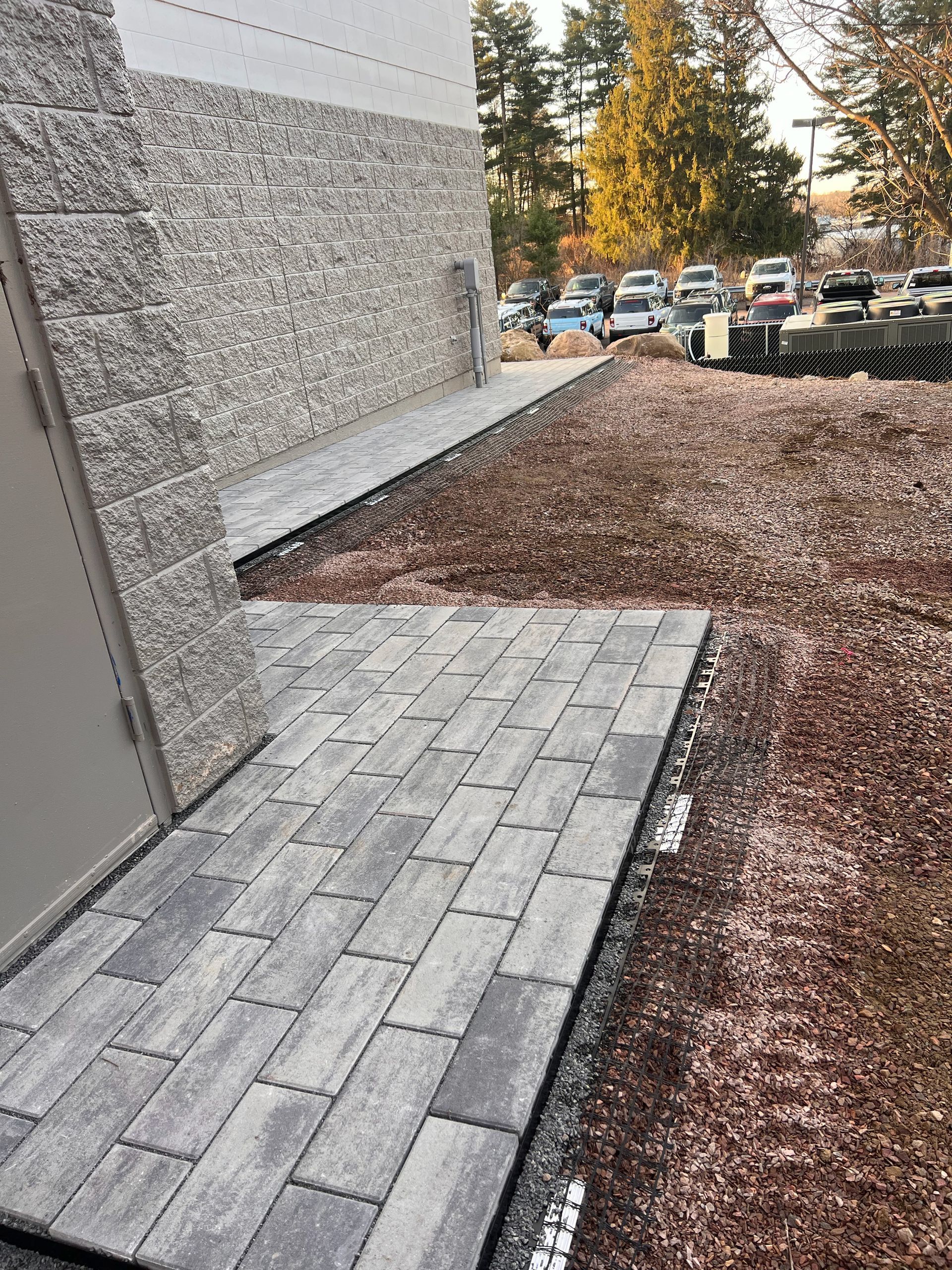 Freshly striped lawn edge along a driveway