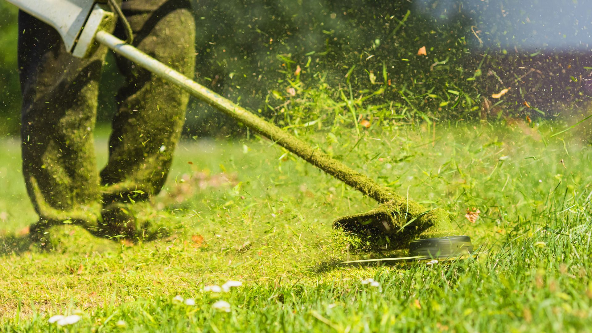 Person using a string trimmer to cut grass, spraying green clippings in a yard.