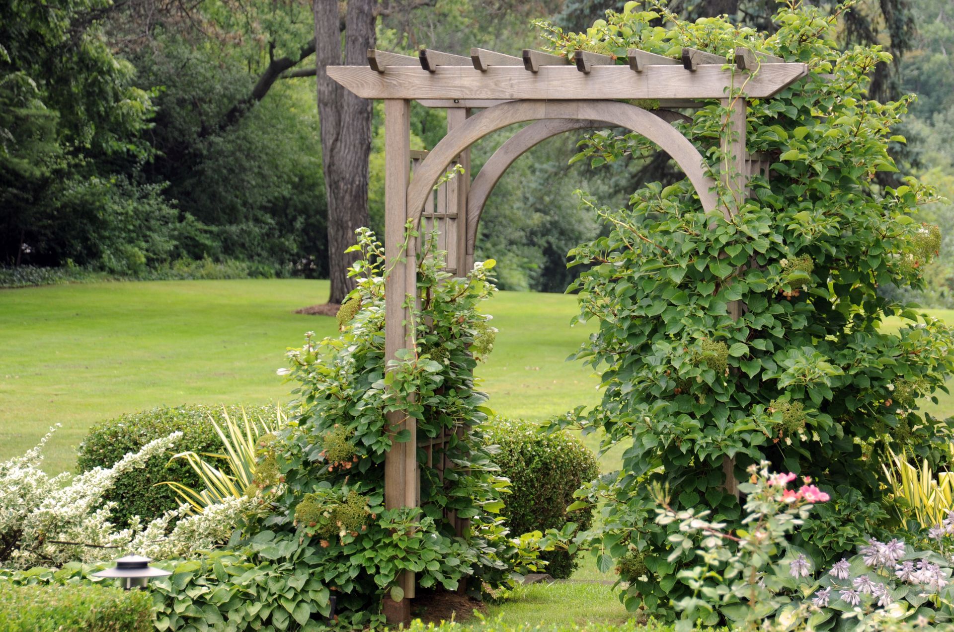 Wooden garden arbor covered in green vines beside a manicured lawn and flowers
