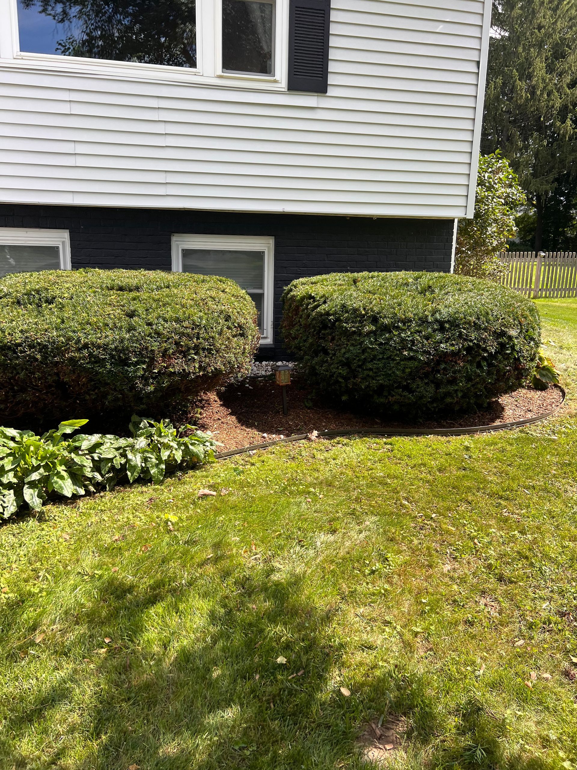 Well-manicured lawn in summer