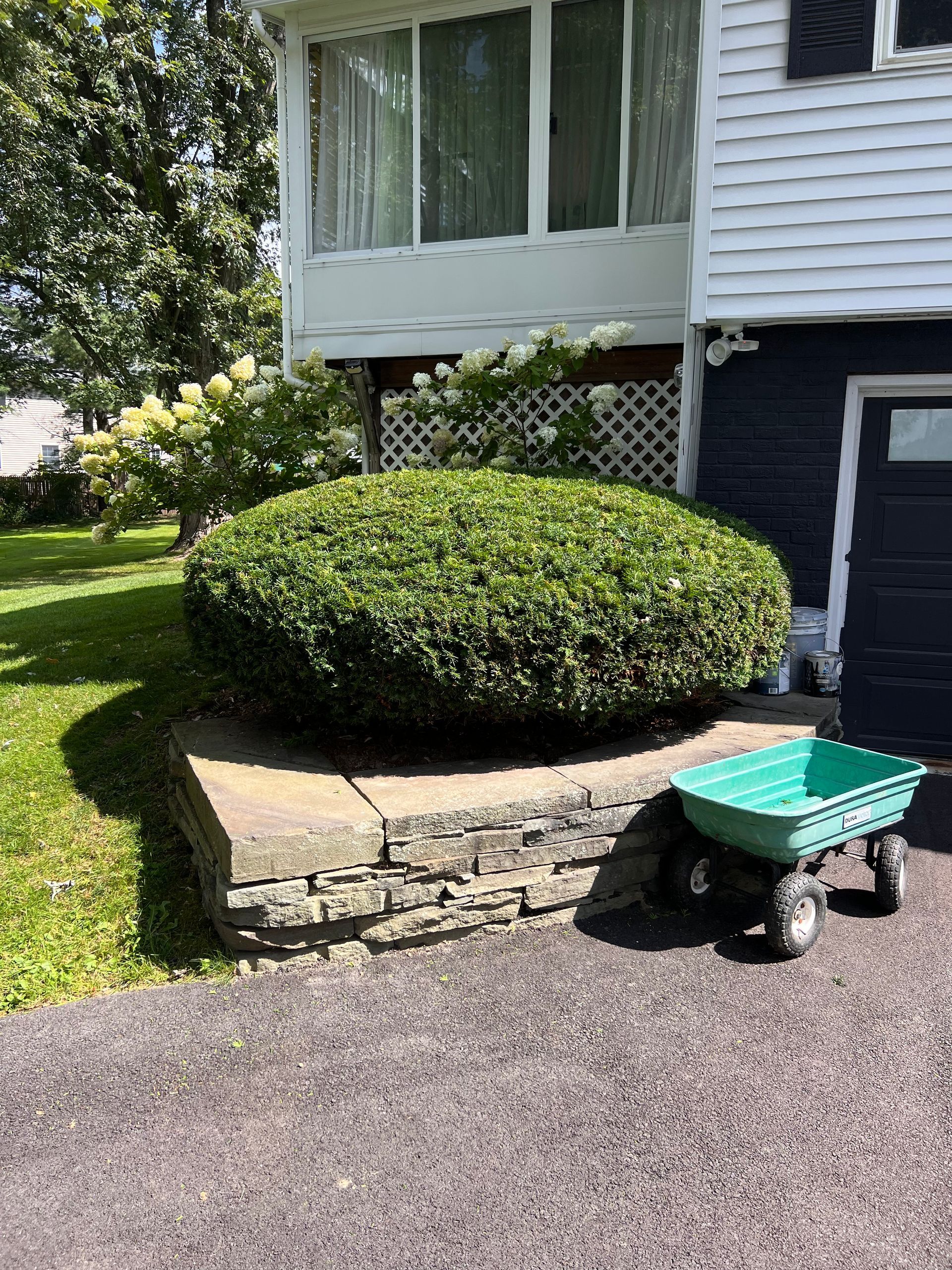 Front yard with a trimmed bush beside a house, stone retaining wall, and a green wagon on the driveway.