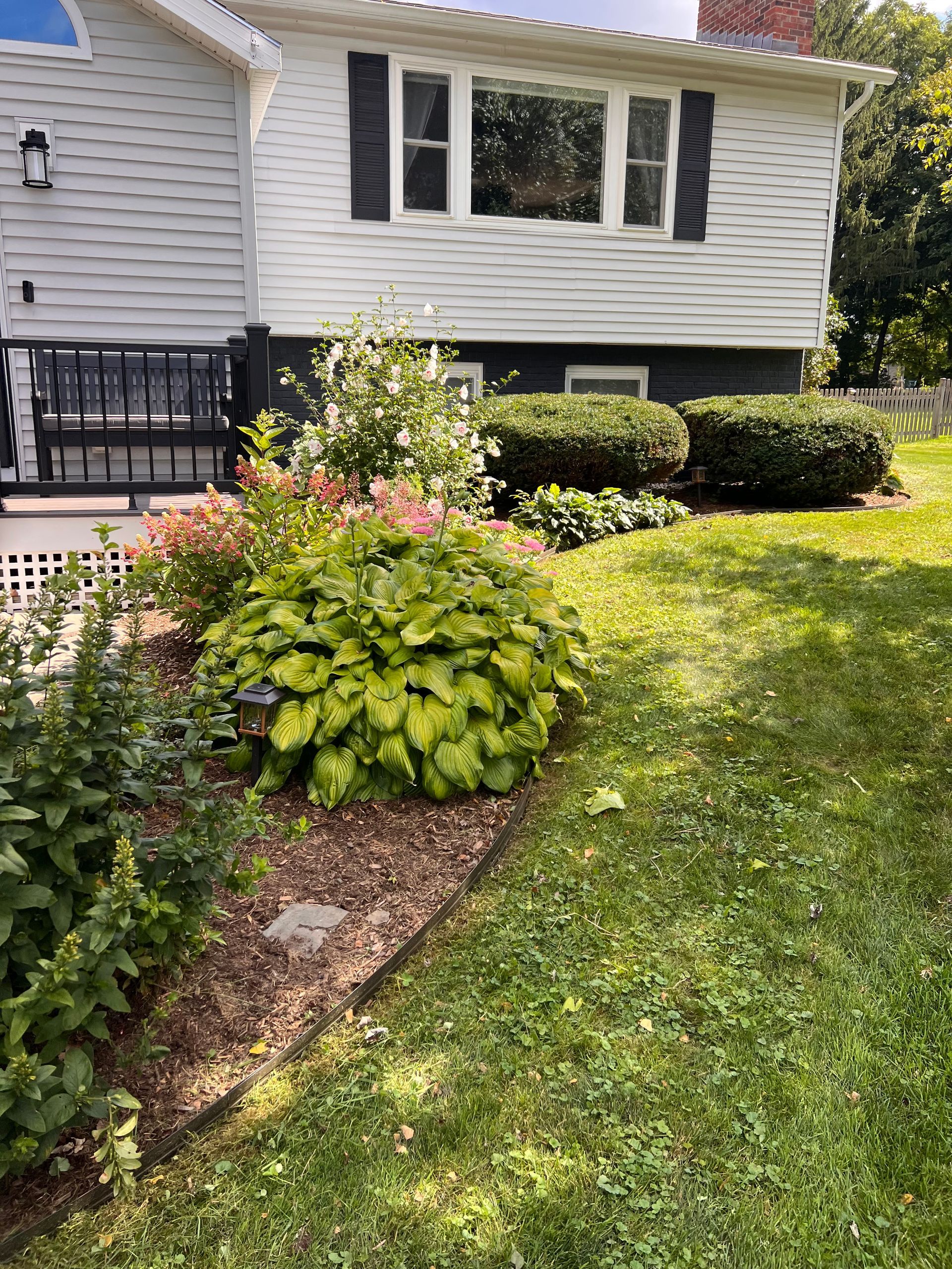 Front yard garden with shrubs and flowers beside a white house and patio steps