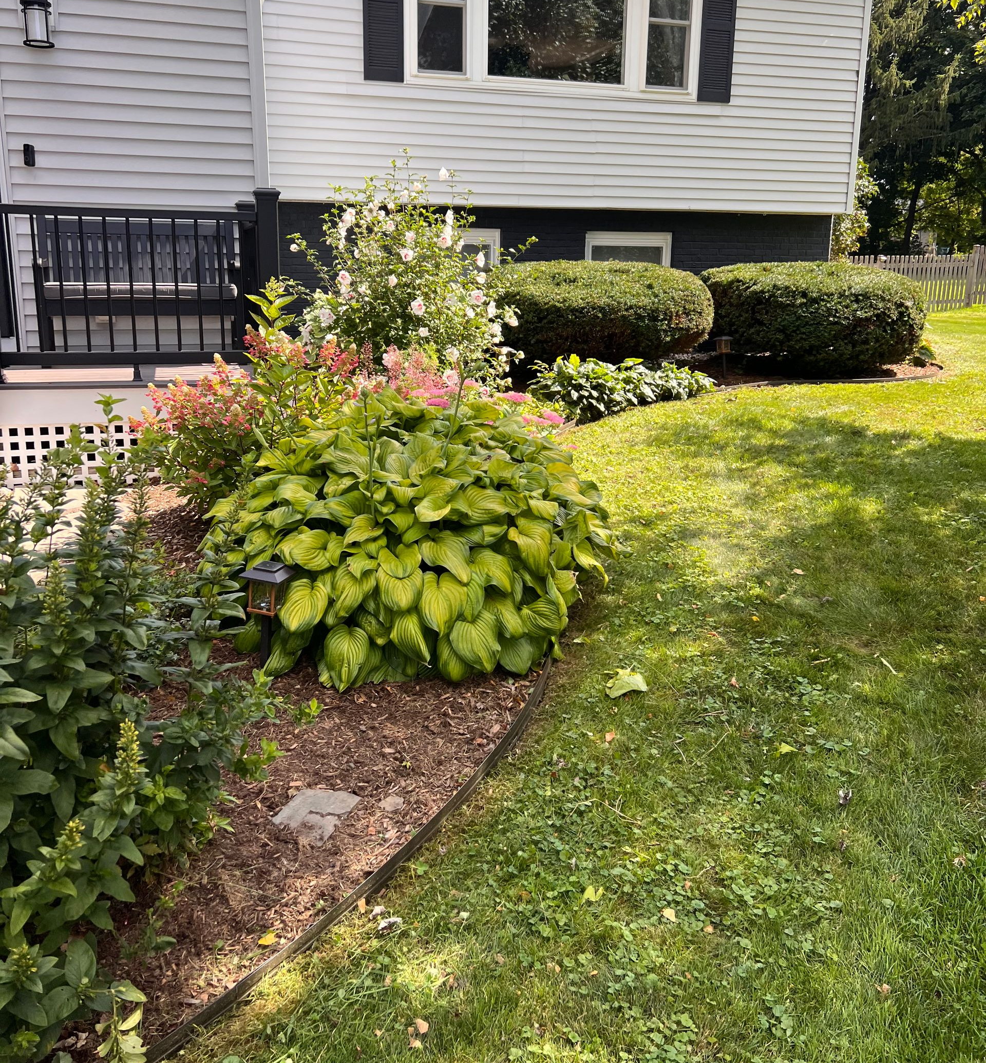 Well-manicured lawn in summer