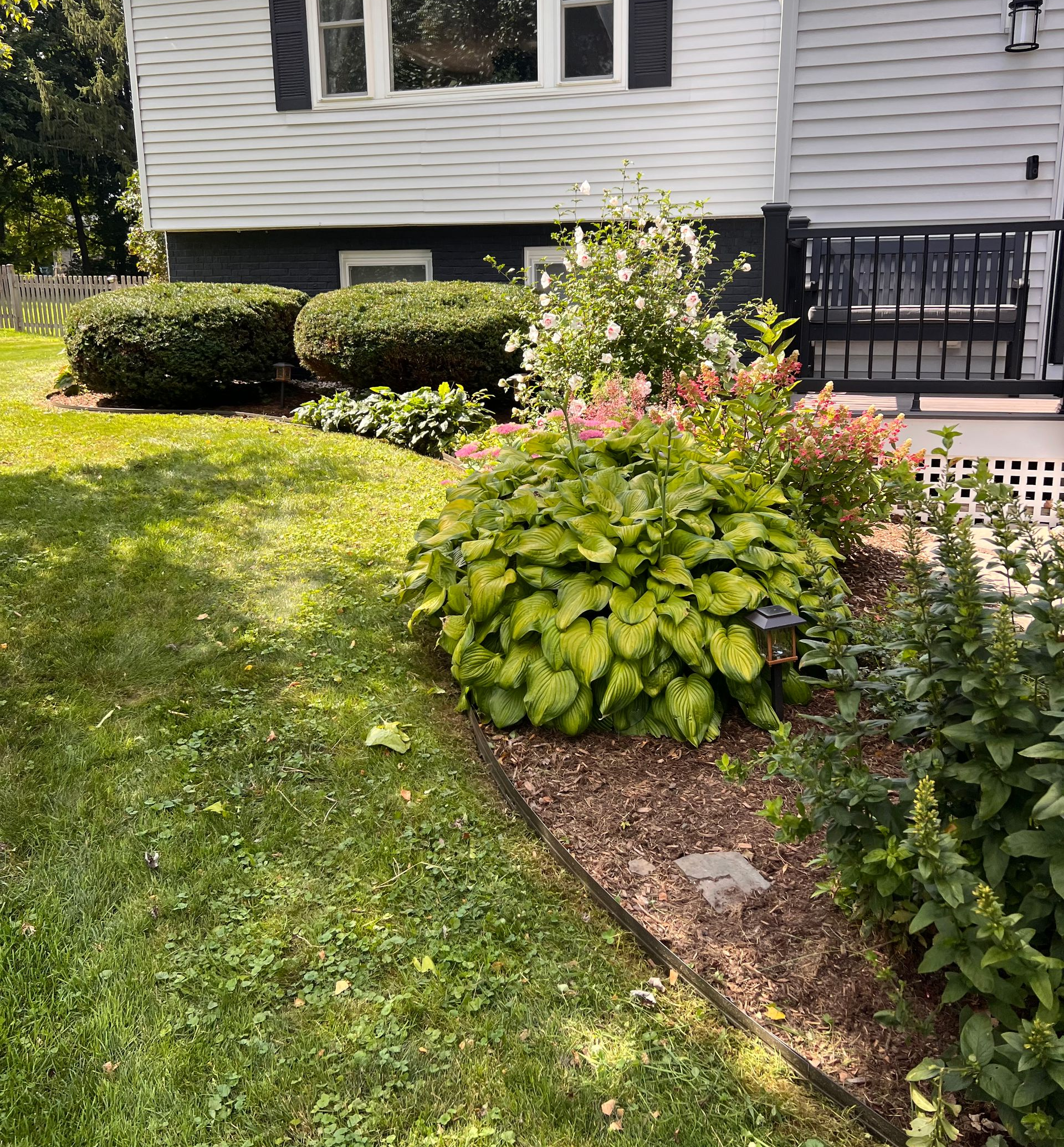 Landscaped front yard with green lawn, flowering shrubs, and a house porch in the background