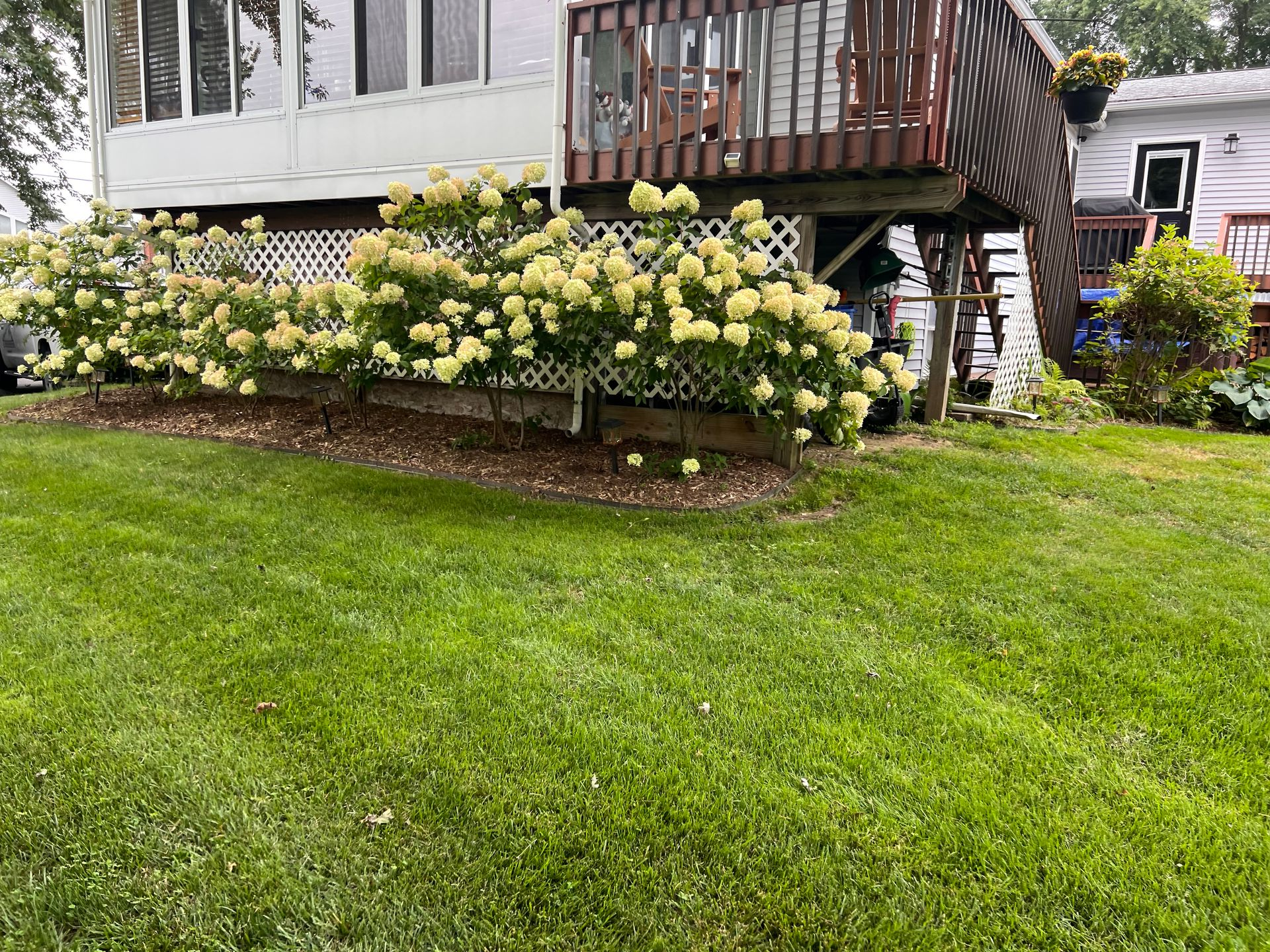 Well-manicured lawn in summer