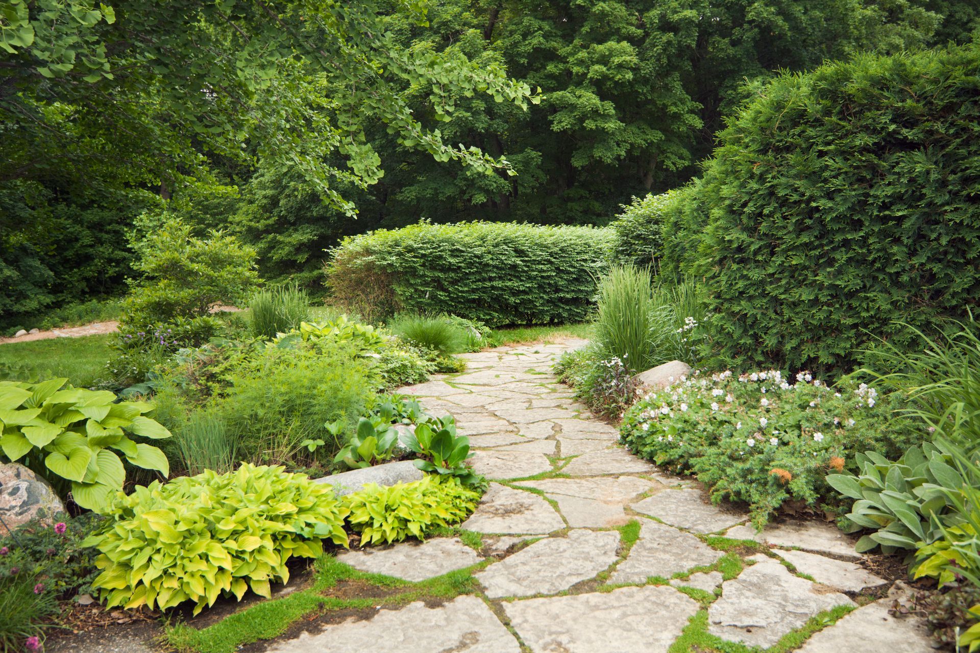 Freshly striped lawn edge along a driveway
