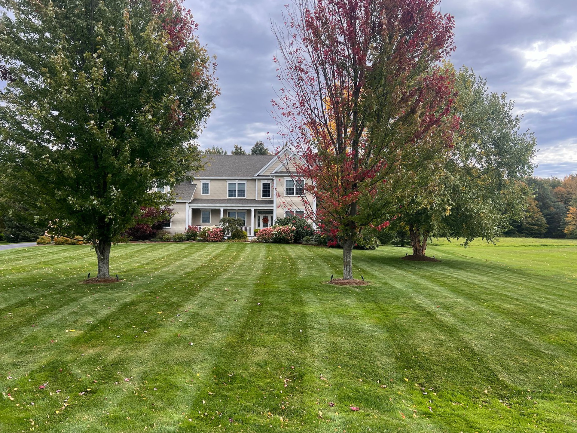 Freshly striped lawn edge along a driveway