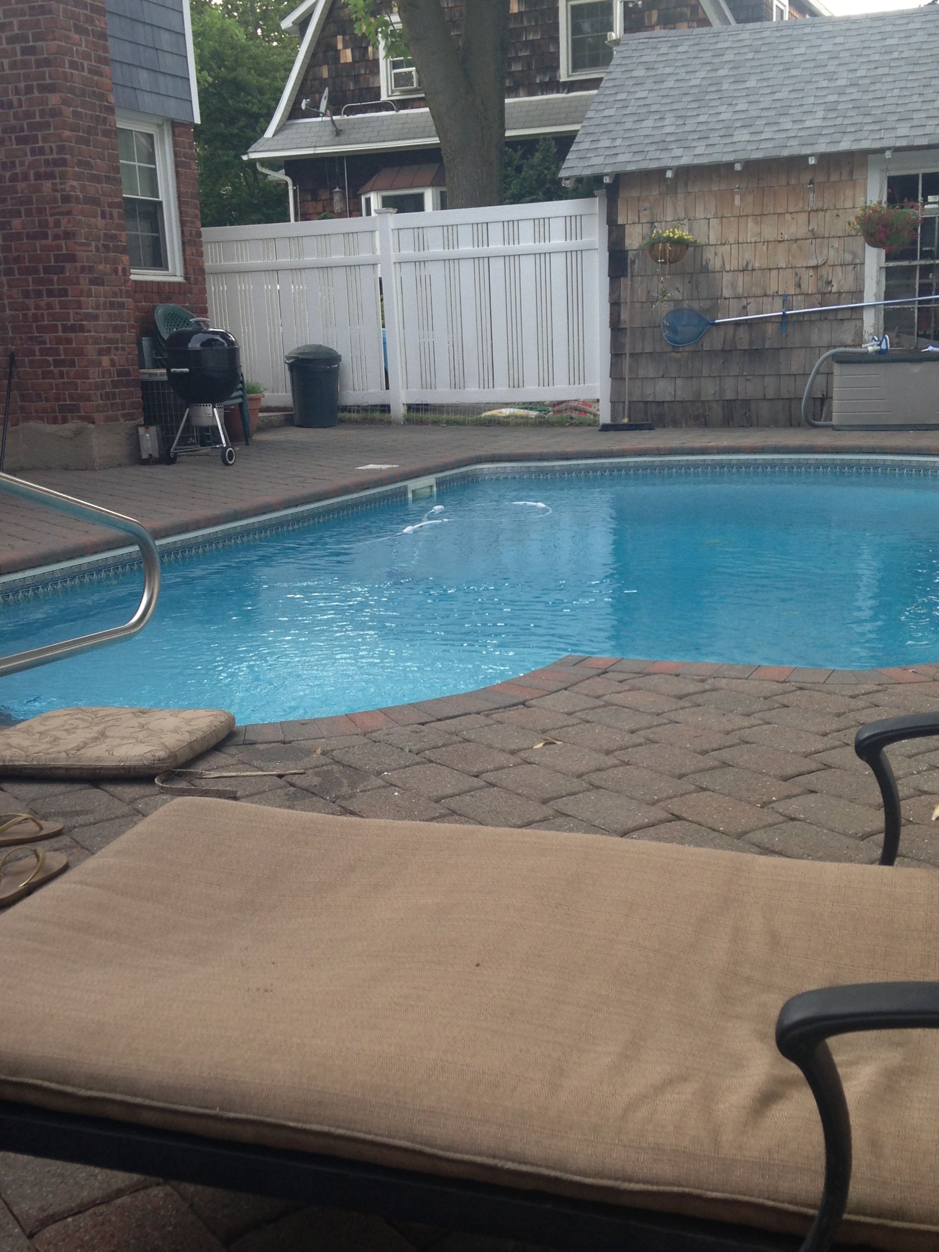 Backyard swimming pool with tan lounge chairs and brick patio, white fence in the background
