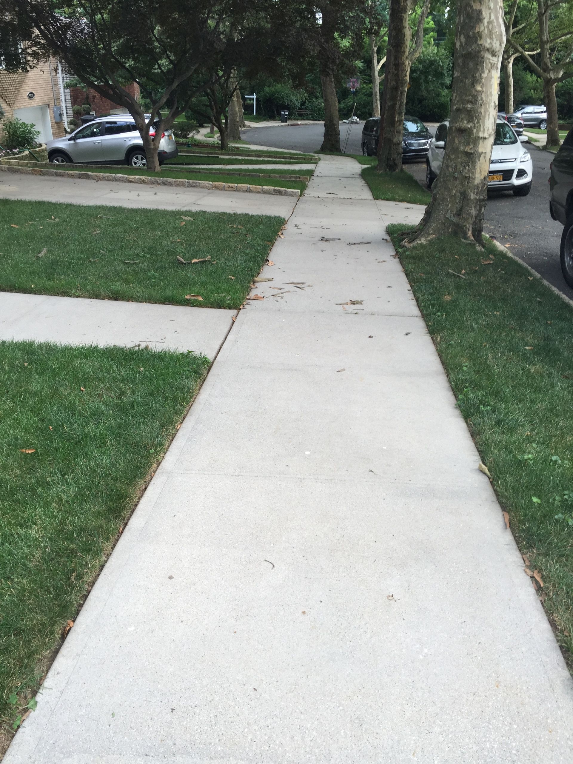 Sidewalk through a tree-lined residential area with parked cars and grass lawns on both sides
