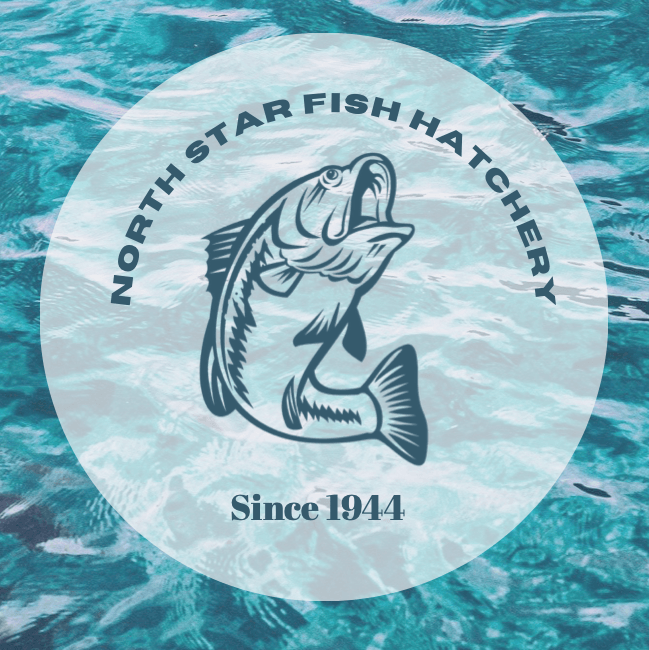 North Star Fish Hatchery