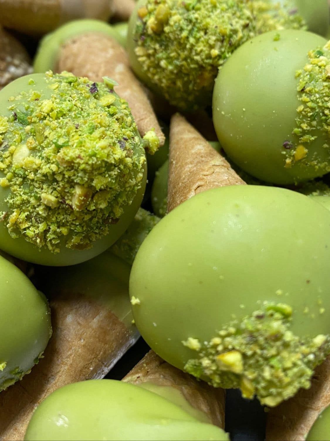 conino pistacchio