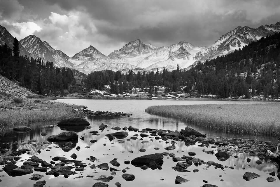 Black and white photo