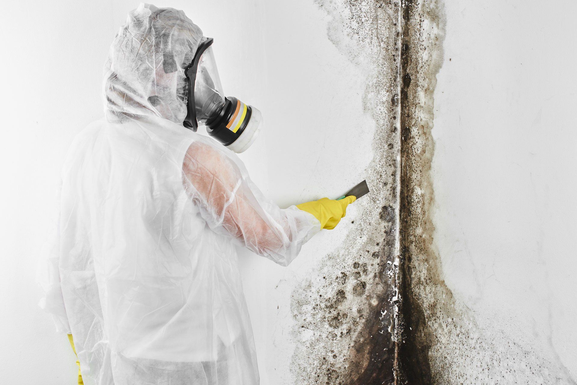 Mold Mitigation — Buffalo, NY — Great Lakes Abatement Co Inc.