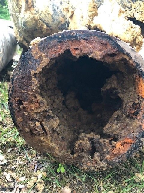 Dirty pipe 3