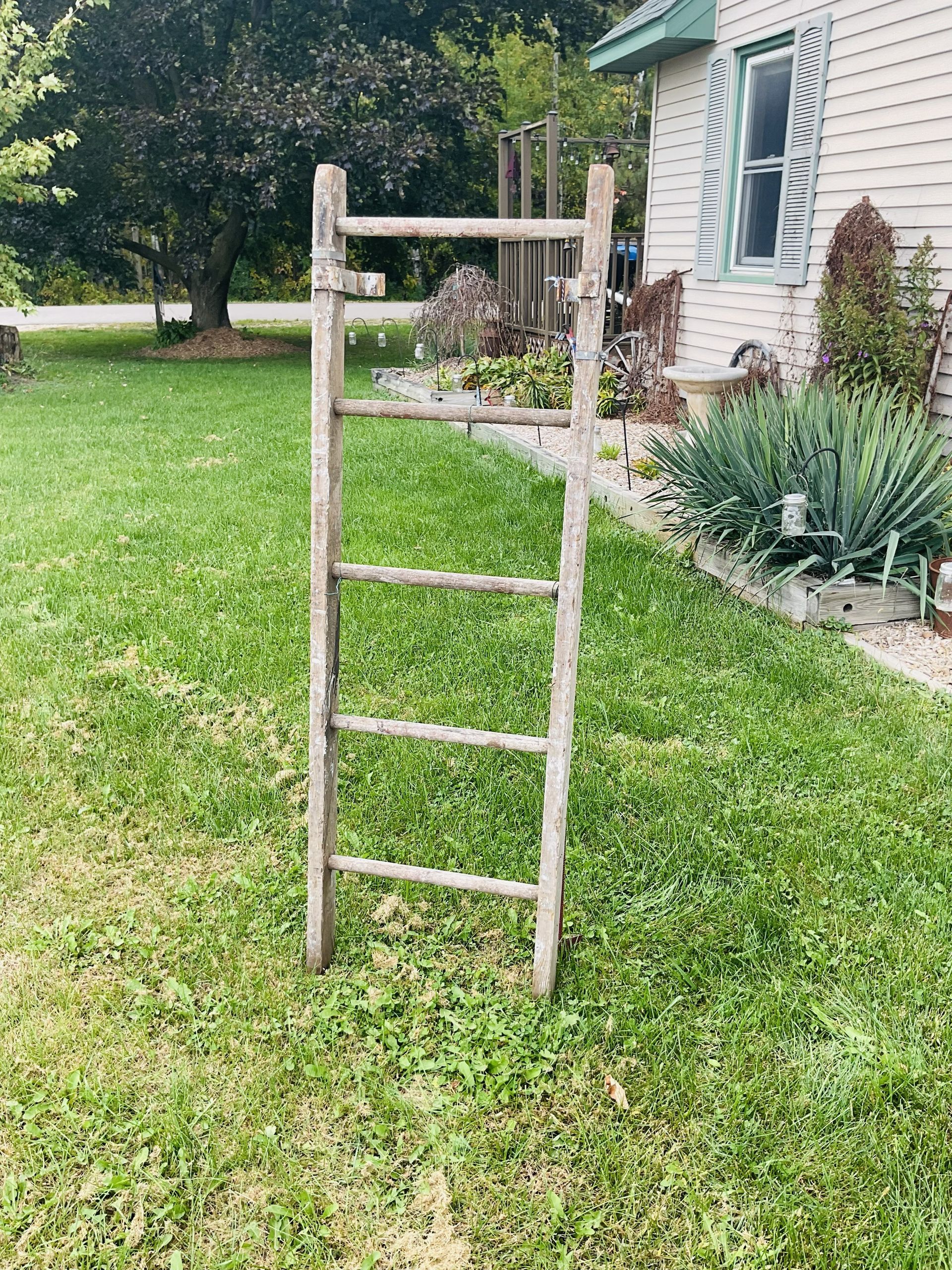 Rustic Ladder