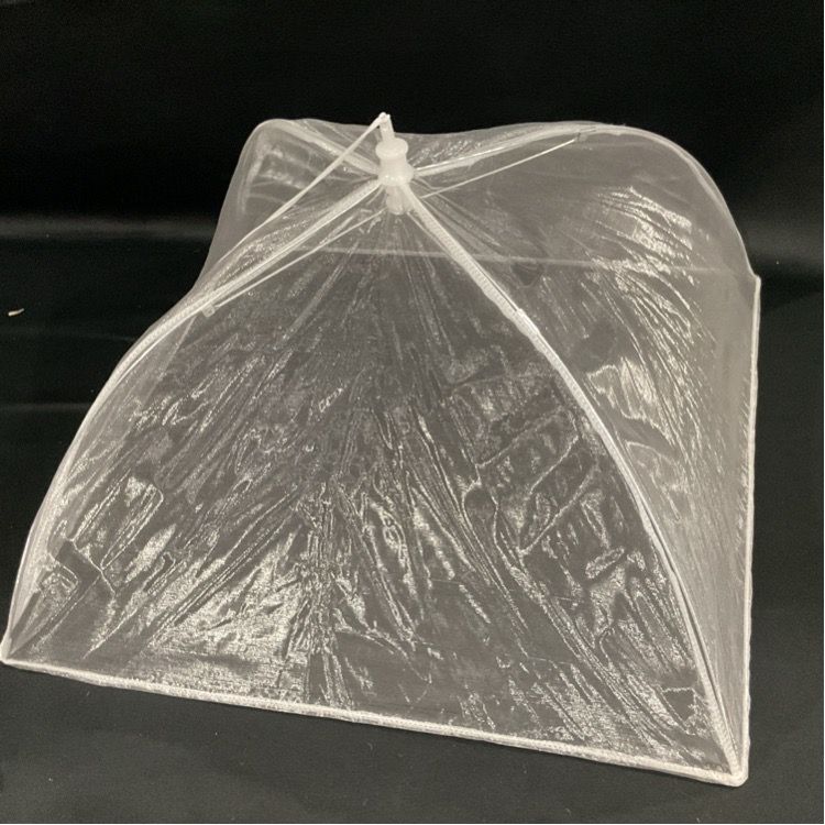 White Mesh Food Cover