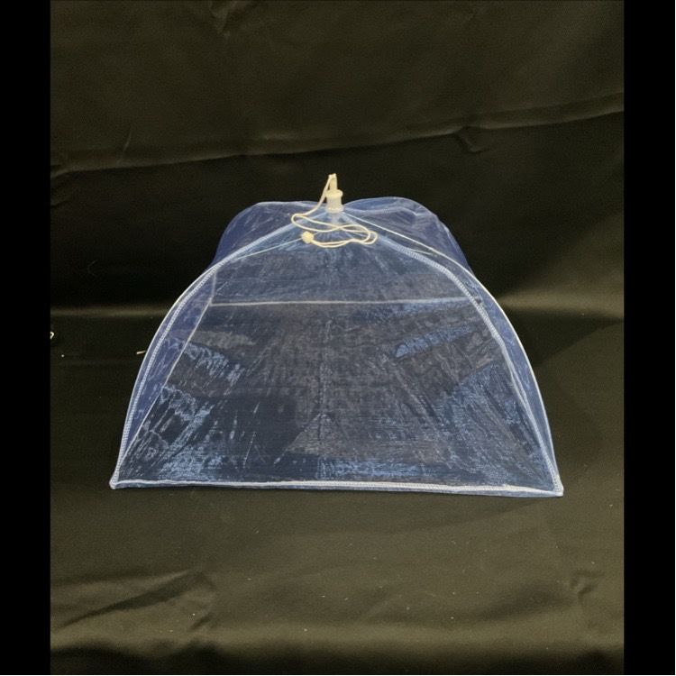 Blue Mesh Food Cover