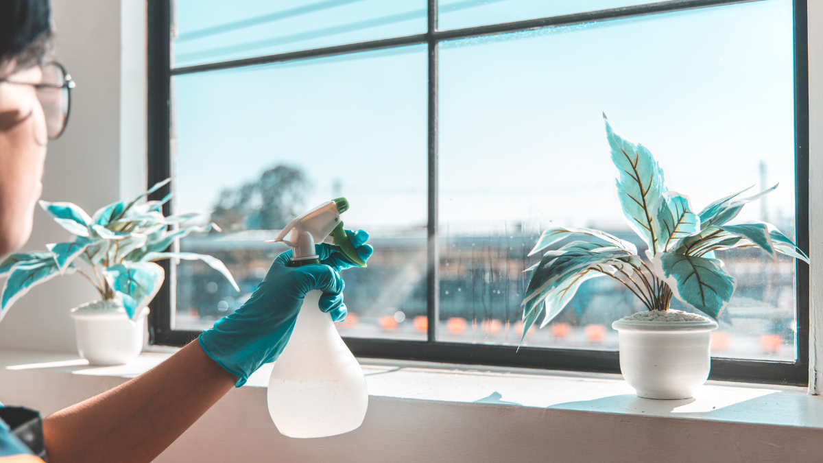 Person in blue gloves spraying a window with a spray bottle, plants in the background.