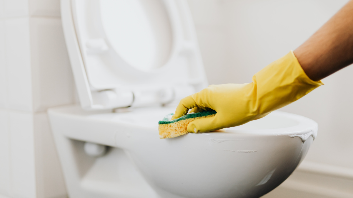 Gloved hand scrubbing a white toilet bowl with a sponge and cleaner