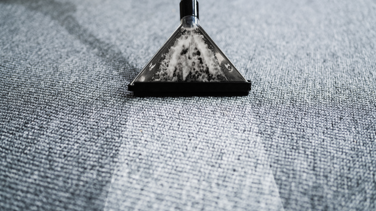 A vacuum cleaner head cleaning a gray carpet, leaving a lighter clean strip