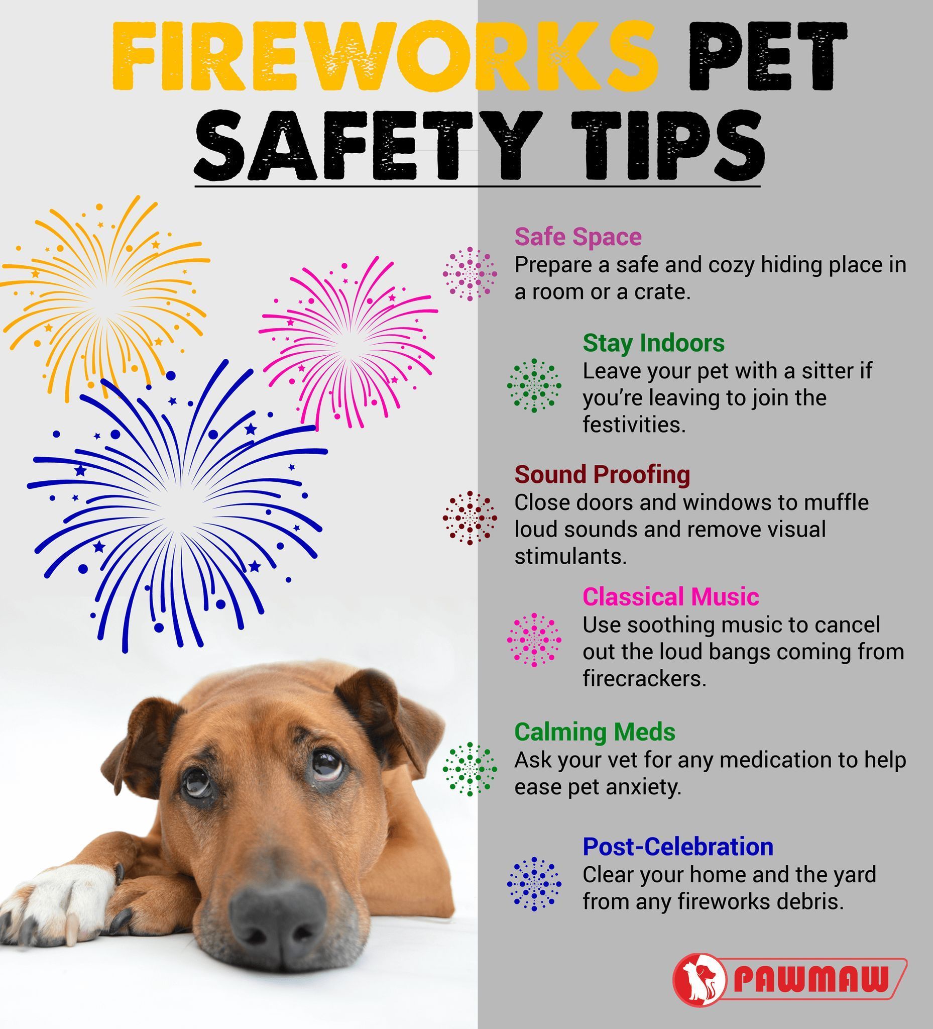 A dog is laying down in front of a fireworks display.