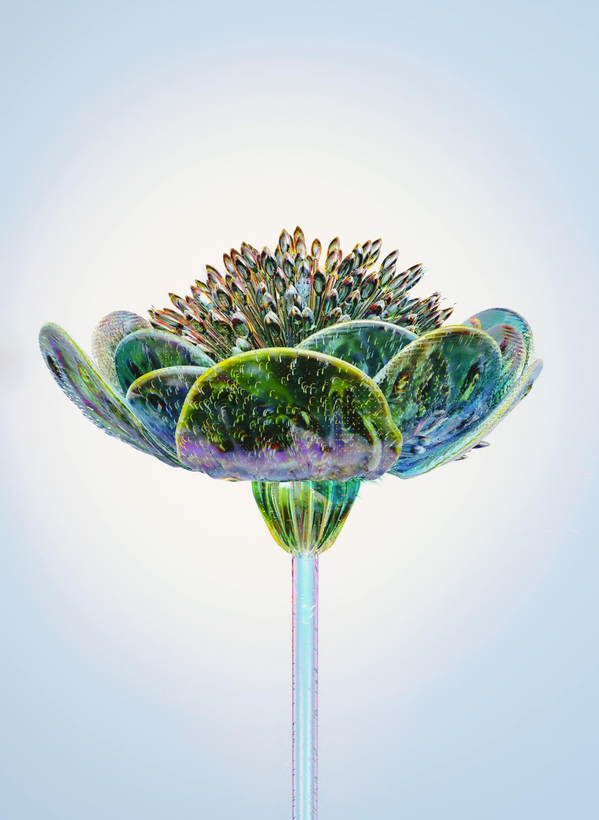 Gloeiende, iriserende bloem met groene, blauwe en gouden tinten tegen een lichte achtergrond.