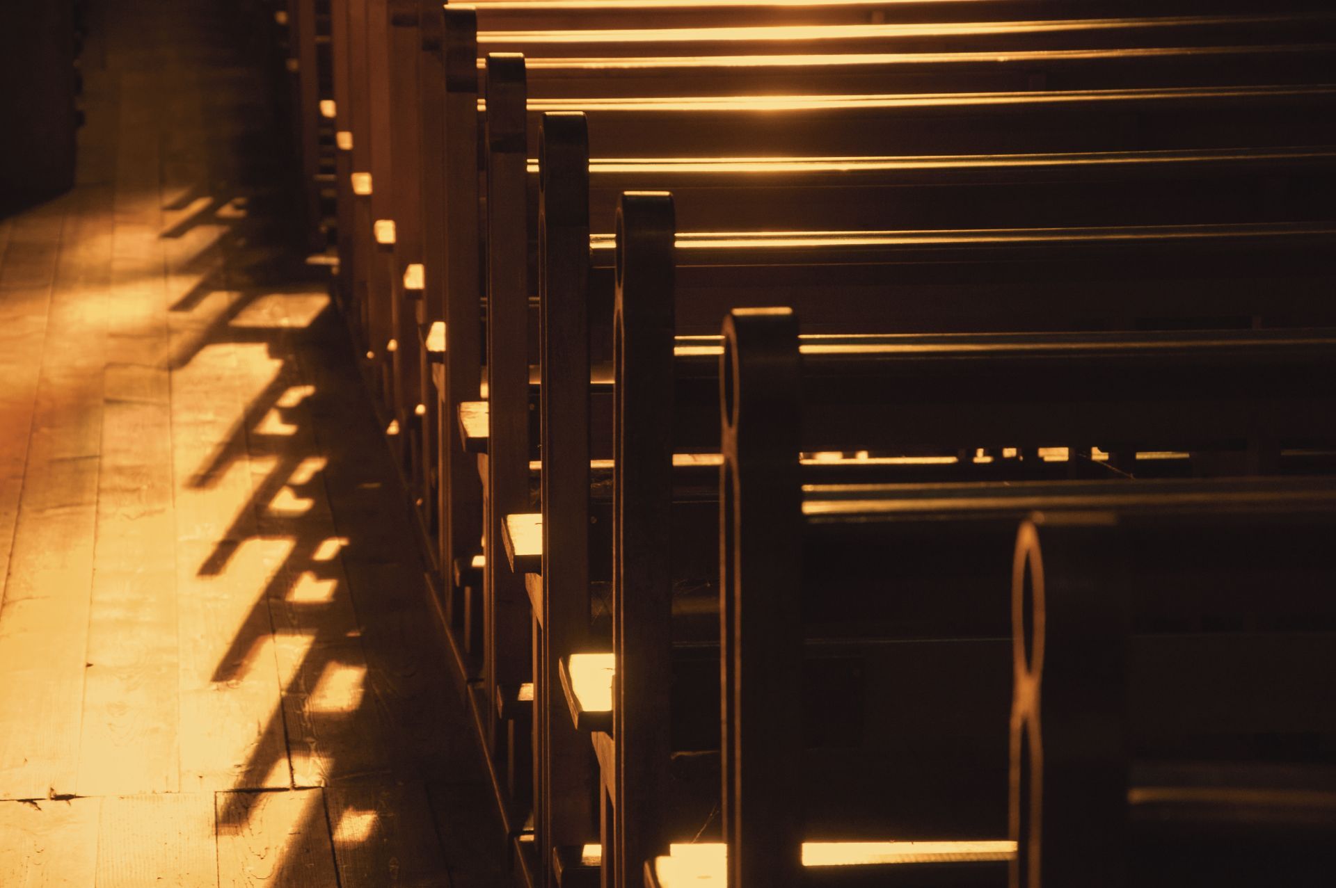 Sunlit rows of empty wooden benches casting long shadows on a walkway