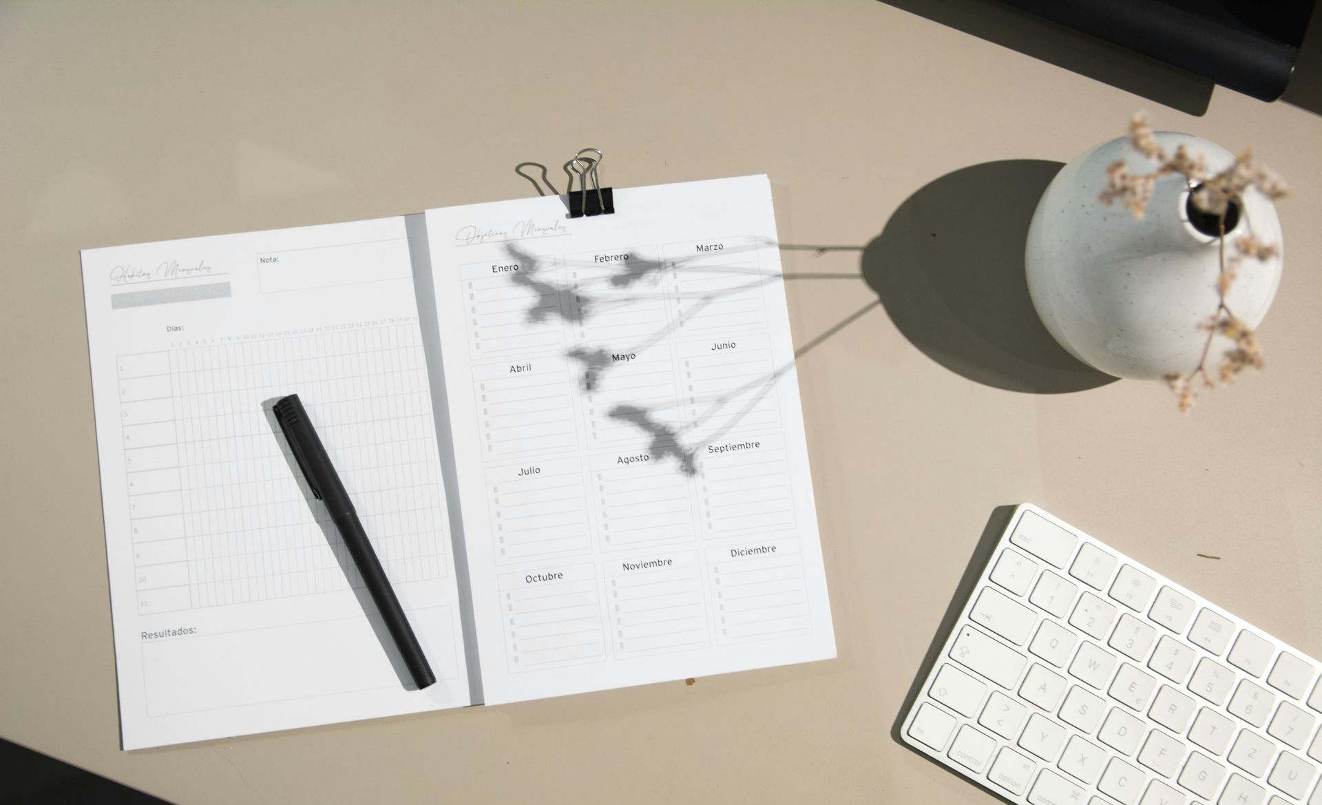 Desk with open notebook, pen, coffee cup, keyboard, and a plant shadow in bright sunlight.