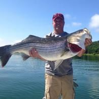 large bass
