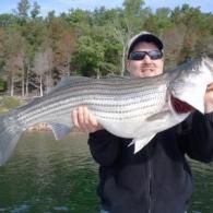 bass